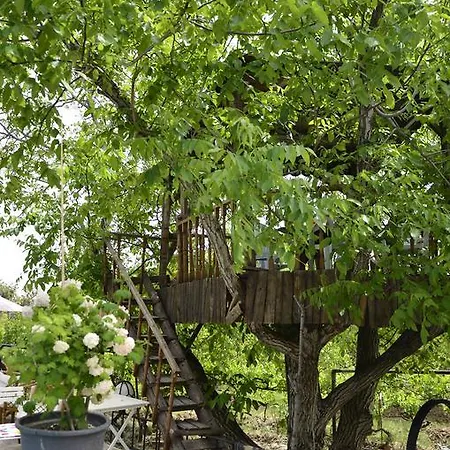 Kapadokya Organik Ciftlik Evi Avanos