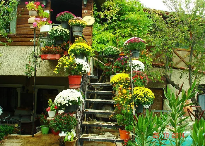 Kapadokya Organik Ciftlik Evi Avanos