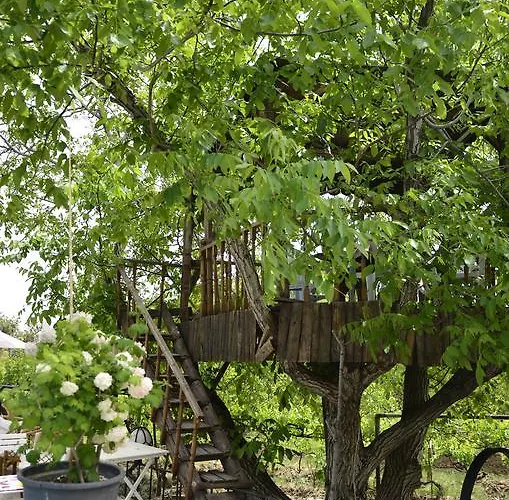 Kapadokya Organik Ciftlik Evi Avanos