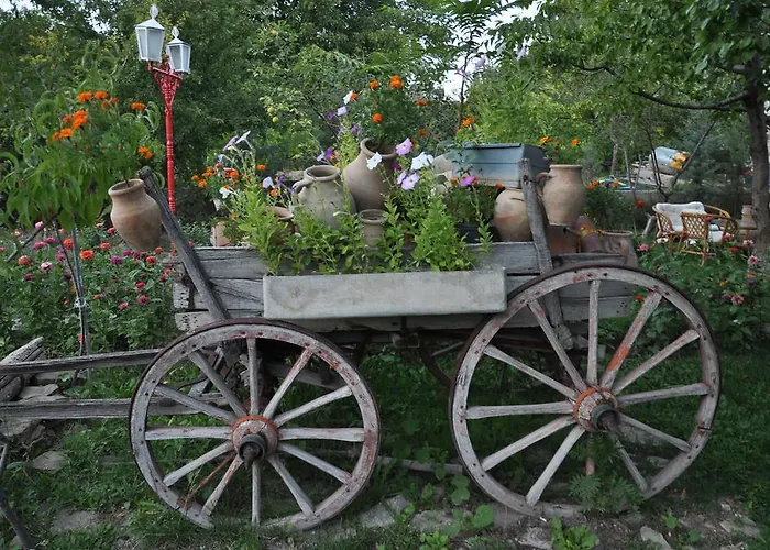 Hotel Kapadokya Organik Ciftlik Evi Avanos