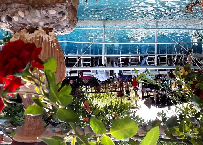 Kapadokya Organik Ciftlik Evi * Avanos